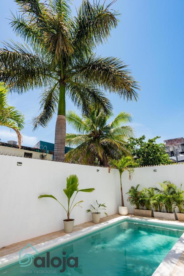 Vica Guest House Con Piscina En La Entrada De La Zona Hotelera Cancún Exteriör bild